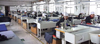 仲尼在高郵艾森絲服飾廠工作期間的養(yǎng)老保險政策解析